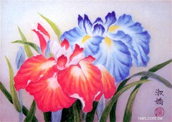 菖蒲