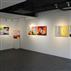 圓:林復南個展