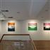 圓:林復南個展